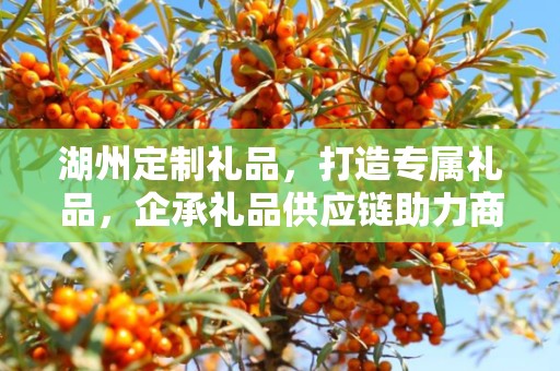 湖州定制礼品，打造专属礼品，企承礼品供应链助力商务之选