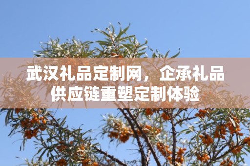 武汉礼品定制网，企承礼品供应链重塑定制体验
