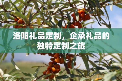 圣诞节小礼品定制，企承礼品供应链为您精心打造独特圣诞礼物