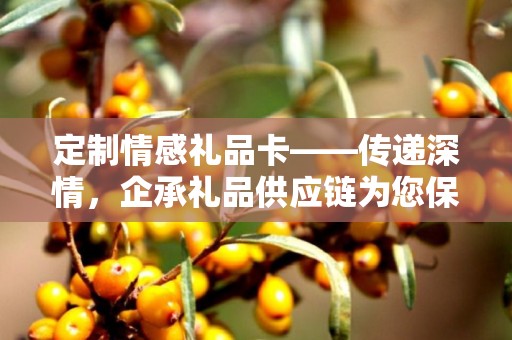 定制情感礼品卡——传递深情，企承礼品供应链为您保驾护航
